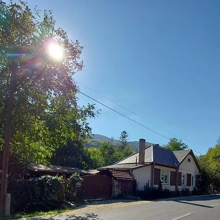 Hamori Alom * Miskolc