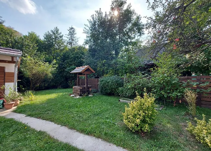 Hamori Alom * מישקולץ