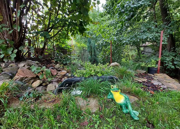 Hamori Alom * מישקולץ