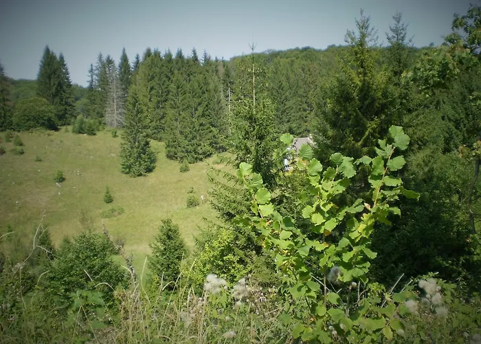 Hamori Alom מישקולץ