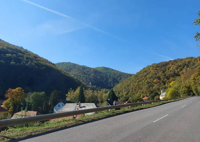 Hamori Alom * מישקולץ