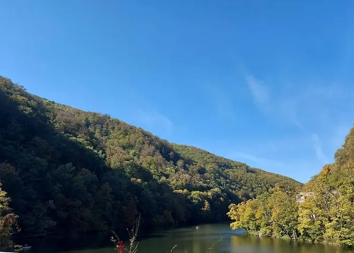 Hamori Alom מישקולץ