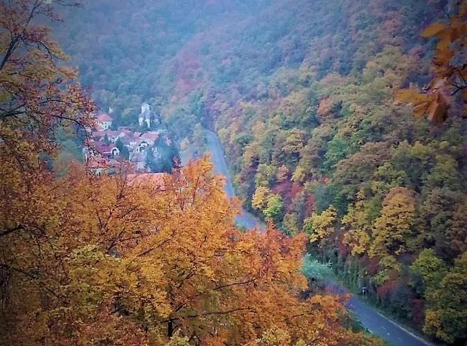 Hamori Alom * מישקולץ