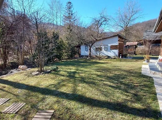 Hamori Alom * מישקולץ