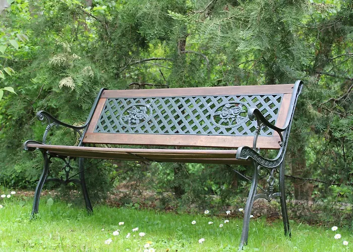 Hamori Alom Miskolc